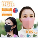 マスク 洗える 10枚セット 【リスカイマスク】立体 布マス