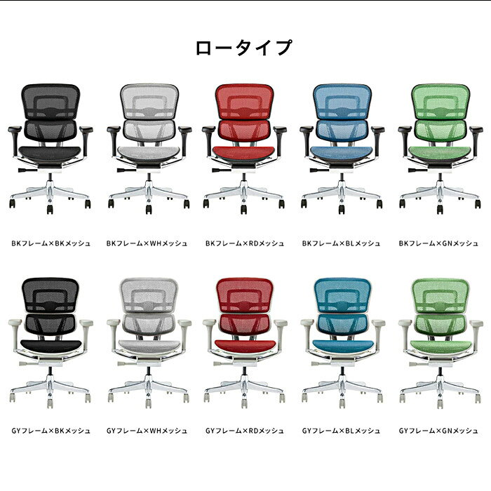【新基盤】 エルゴヒューマン プロ2 EHP2-LAM-DR EHP2-HAM-DR EHP2-LPL-DR オットマン オットマン内蔵 アルミフレーム ヘッドレスト 独立ランバーサポート 高機能メッシュチェア ergohuman pro2 オフィスチェア デスクチェア パソコンチェア リモートワーク 高機能 auc-riverp-10017816 アウトレット家具 リバップ サンプル画像2