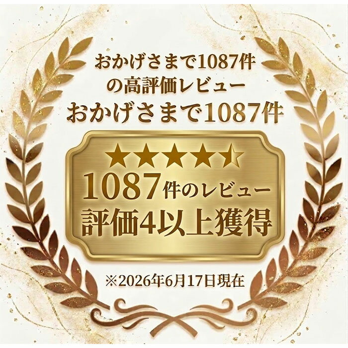 【 レビュー1000件超え！メーカー累計販売数6万枚突破！】洗えるカバー 椅子クッシ...