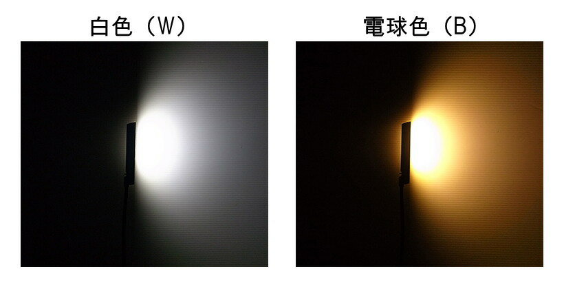 ENCORE Light (XLR 4pinストレートタイプ/55cm) C4S55W(白色)/C4S55B(電球色) 3