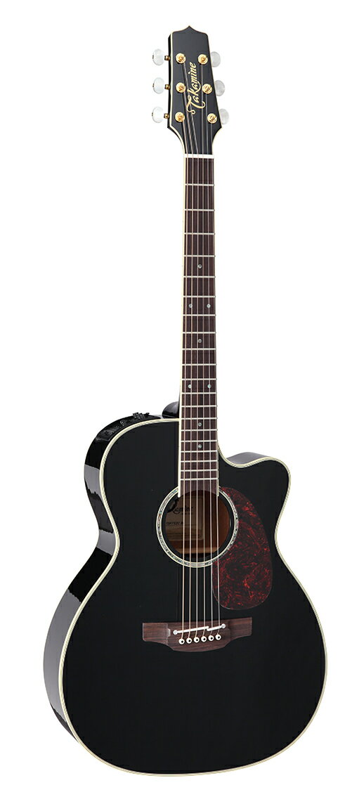 Takamine / ߥ 쥢TDP752C BLʥϡɥա