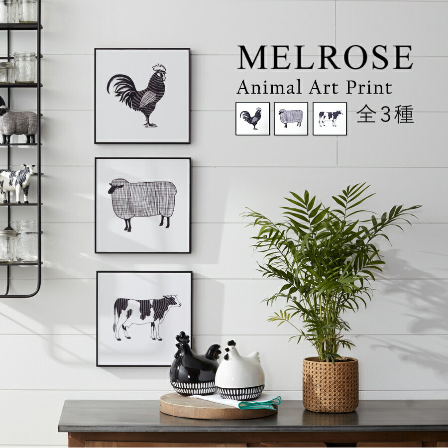 【MELROSE】Animal Art Print 3 ASST / 82164 全3種 アートポスター 動物