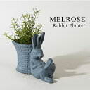 【MELROSE】Rabbit Planter / 82192 ウサギ プランター ポット 置物 オブジェ インテリア 干支 置物