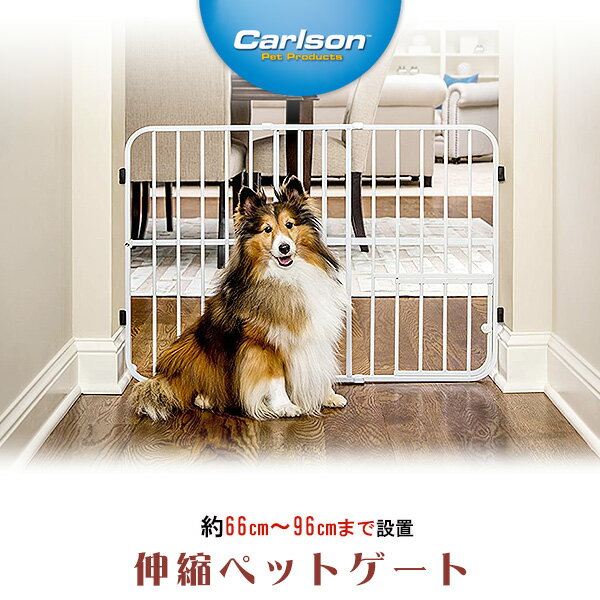 y݌ɗLzJ[\ ybg v_Nc ^btB[ Lk ybgQ[g X`[ Œ v ybgpi 䏊  ȒP bN y ȒPς莮 Carlson Pet Products Tuffy Expandable Pet Gate