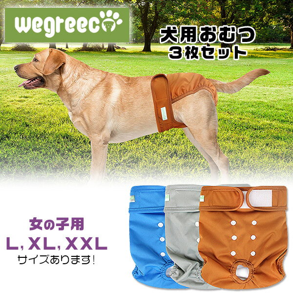 【在庫有り】【ペット用】Wegreeco ウォッシャブル ドッグダイパー 女の子用 3枚セット Lサイズ XLサイズ XXLサイズ 犬用 マナーパンツ おむつ 生理 パンツ サニタリーパンツ マジックテープ 犬服 洗える オムツ メッシュ ペット 中型犬 大型犬