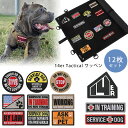 商品詳細 &nbsp; 14er Tactical サービス ドッグ パッチ (12枚セット) 14er Tactical Service Dog Patches (12-Pack) &nbsp; &nbsp; ドッグハーネスに取り付けるワッペン12枚セット 12のユニークなデザイン！ マジックテープ式だから取り付け取り外し簡単♪ 当店取り扱いドッグハーネスに取り付け可能！ ゆうパケットについてのご注意 ※ゆうパケットをご利用の場合は「お届け日時指定」は取り扱い出来ません。 ※ポスト投函ですので商品の破損、紛失の保証はありません。 ※複数ご注文の場合は、パケット便以外での配送となる場合も御座います。 商品状態 &nbsp; 新品 輸入品 安全基準 米国安全基準適合 本体重量 各約8g 備考 ※輸入商品となりますので、入荷時期によりメーカー表記サイズの誤差や商品画像・機能説明が実際の商品と異なる場合が御座いますので、ご了承の上ご購入ください。 &nbsp; こちらの商品はUSA直輸入商品です。 ※輸入商品特有のパッケージの汚れや破れや輸送による本体の擦り傷等がある可能性が御座いますのでご理解、ご了承ください。 説明書など付属品は全て英語表記となります。 ※こちらの商品は並行輸入商品の為、お買い物ガイドをご確認の上ご注文ください。 【配送についてのご注意】 ※同一カートでのご注文に限り送料無料の対象となります。(160サイズ以上の大型商品を除く) ※送料無料商品と大型商品を同時にご注文の場合でも、大型商品の送料は必要となります。 ※大型商品を複数ご購入の場合、同梱ができない場合は個別に送料がかかります。 ※沖縄県及び離島は送料着払いとなります。 60120000