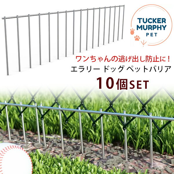 y݌ɗLzTucker Murphy Pet G[ hbO ybgoA 10Zbg oh~ tFX   K[h Œ  tFX v ybgpi ^ ^ ^ ybg  L Tucker Murphy Pet Ellery Dog Pet Barrier (Set of 10)