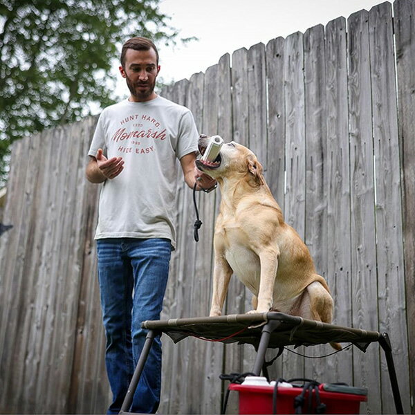 �ں߸�ͭ���Momarsh �ե����ʥ� ������� ���ѥ������ �ȥ졼�˥� ���Ĥ� �ϥ�ƥ��� �⤵Ĵ���ǽ �ޤꤿ���� ���� ��Ω �ɥå������� ���� ���ѵ� ����ѥ��� �ݡ����֥� �������� �ĸ� ������ ���Х��� �ߥ꥿�꡼ �ػ� �ٷ� Momarsh Final Stand