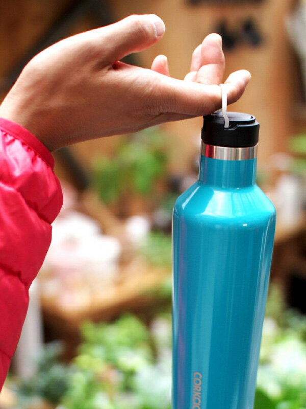 コークシクル水筒2本セットストロー付き新品