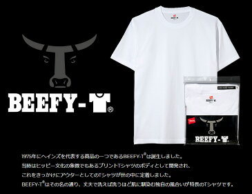 Hanes ヘインズ Tシャツ BEEFY-T ビーフィー レディース メンズ ユニセックス 半袖 無地 2枚組 2枚セット 2PACK 2PIECES パックT ヘビーウエイト 丸胴 ストリート H5180-2 母の日 ギフト プレゼント ラッピング