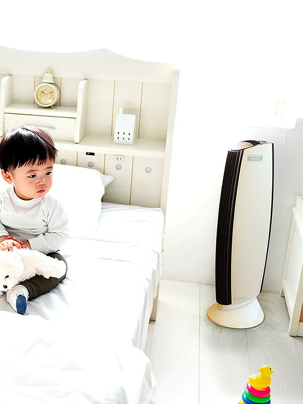 IonicBreeze イオニックブリーズ GRANDE グランデ 空気清浄機