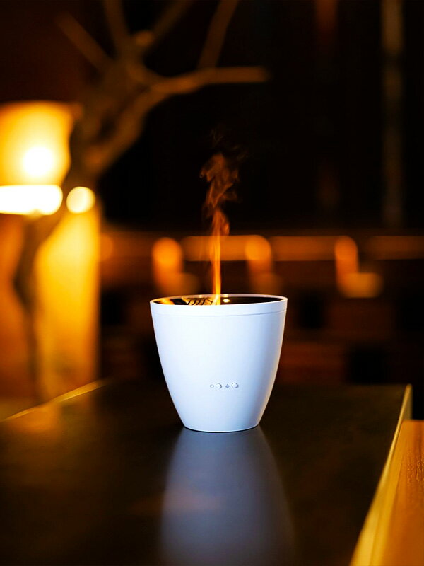 Stadler Form スタドラフォーム ZOE アロマディフューザー 加湿器 超