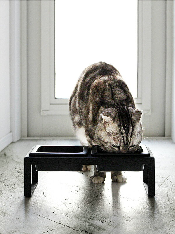 山崎実業 タワーシリーズ tower ペットフード 猫 フードボール フード