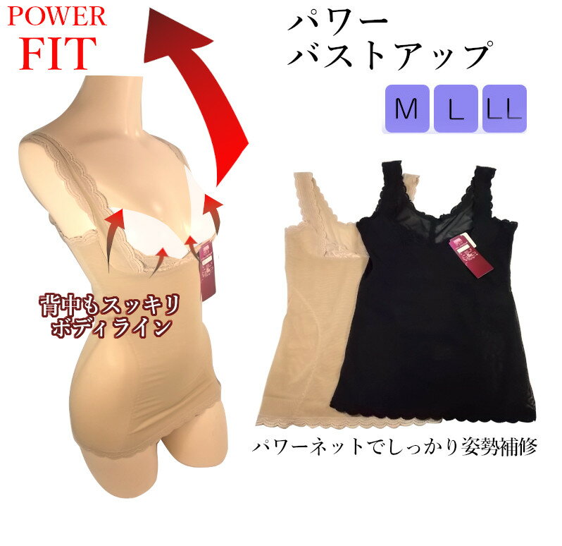 処分特価!更にクーポン割引!補正下着バストアップシェイパー【全国送料無料】パワーネット 背中もスッキリ バストアップ 姿勢補修 ボディラインメイク 背筋シャッキ...