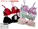 売切り処分特価!福袋 特価 ブラジャー3着組!福袋ワイヤー入りブラジャーラージサイズ・グラマーサイズ福袋お徳なブラ【2022 福袋 レディース インナー】【サイ...