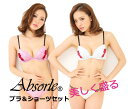 【値下げ】アブソールAbsorle 処分SALE!【全国送料無料】【Absorle勝負下着アブソール勝負ランジェリー】アブソール ブラジャーショーツ ツインロー...