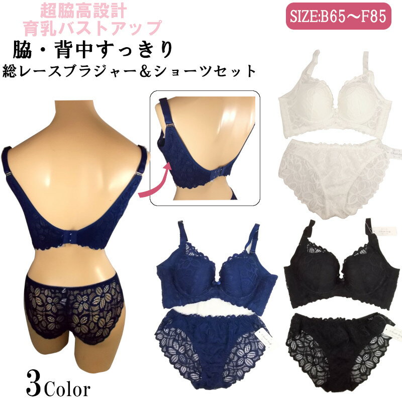 新発売！ラージサイズ！超脇高補正総レースブラ＆ショーツセット！育乳バストアップ サイズ豊富E70～F85！バックレススタイル アップワイヤー入りブラ！上品で綺麗なストレッチレースブラジャーとショーツ パット入り【アブソールブラショウも別途出品中】 スマイル 3001R＊