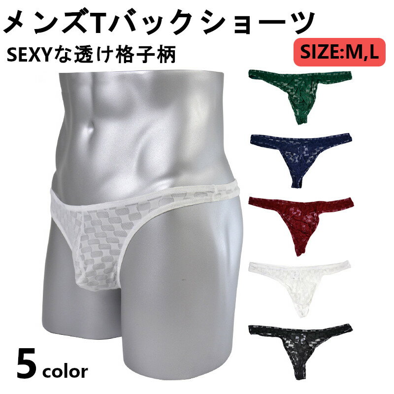 【送料無料】数量限定 メンズ透け感セクシーTバックショーツ 男性用 格子柄 5色 前閉じタイプ メンズショーツ ファッションパンツ　おしゃれなパンツ 彼氏 プレゼント　M、Lサイズ　NCPA018＊