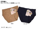 【全国送料無料!】新発売・成型編みサイドフラット仕様ショーツ、ナイスライン!ラインが響きにくい、なめらかにフィット!アウターに響かない、サイズM〜LL、ネイビー、モカ snpa2-1382(4)