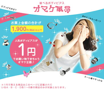 ボディピアス 18G 16G 14G 対象商品合わせて1900円以上のご購入で1円 オマケ革命(1個売り)