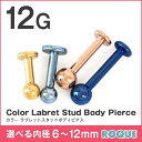 ボディピアス 12G カラー ラブレットスタッド 定番 シンプル(1個売り)◆選べる福袋対象◆◆オマケ革命◆