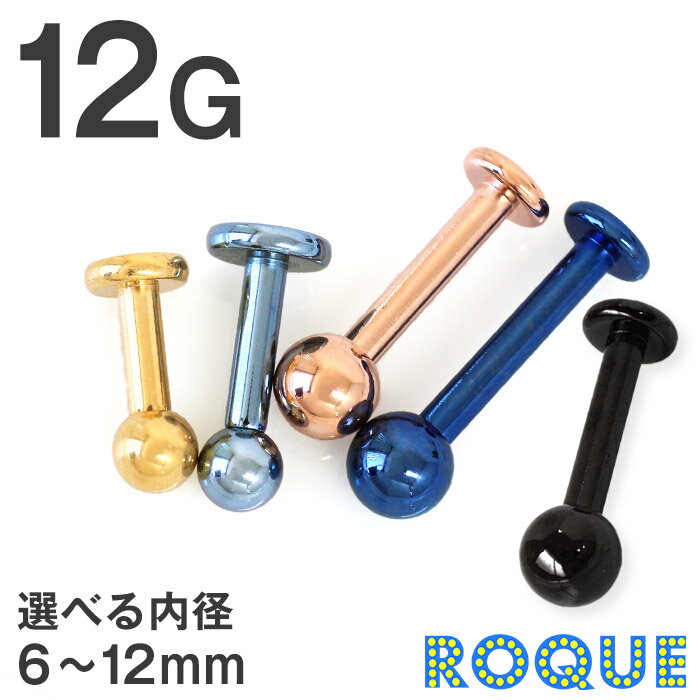 ܥǥԥ 12G 顼 ֥åȥå  ץ(1)ޥ̿