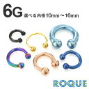 ボディピアス 6G 定番 サーキュラーバーベル シンプル ハイゲージ(カラー)(1個売り)◆オマケ革命◆