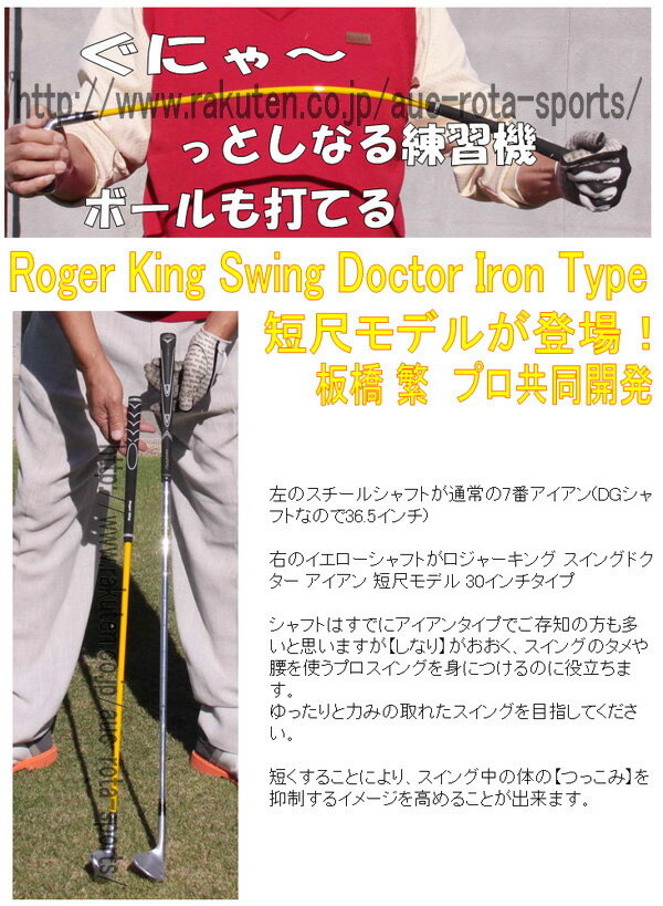 HIROTAGOLFRogerKingSwingDoctor