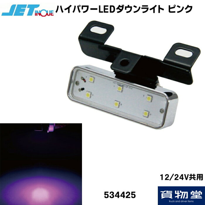 534425 ハイパワーLEDダウンライトNEO ピンク 12/24V|トラック用品 トラック カー用品 自動車用品 JET ジェット ジェットイノウエ ダウンライト シャーシーライト 地面 12/24V 汎用タイプ 1個入り LEDタイプ 点灯 防水防塵IP67