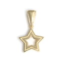 ロイヤルオーダー【公式】【ペンダント】SERENDIPITY STAR 10K GOLD