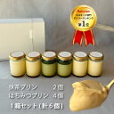 ☆プリン【Wシリーズ 抹茶プリン×2個 はちみつプリン×4個入 1箱セット】入学祝 就職祝 入園祝 入社祝 ギフト お取り寄せ 人気 贈り物 高級プリン スイー...