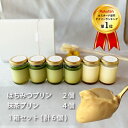 ☆プリン【Wシリーズ 抹茶プリン×4個 はちみつプリン×2個入 1箱セット】入学祝 就職祝 入園祝 入社祝 ギフト お取り寄せ 人気 贈り物 高級プリン スイーツ 内祝 お菓子 名古屋 りゅうあん【wb-wgt4-wjou2】