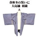 \ 20%offクーポン / 春秋冬用 和装コート 大島紬 よこそ 羽織 正絹 青グレー 紫 牡丹 青海波 七宝文 Mサイズ A5206 新品 レディース シル...
