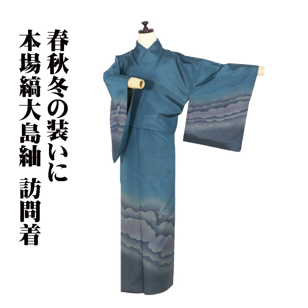 ＼ 20％offクーポン ／ 本場縞大島紬 訪問着 袷 正絹 紺緑 暈し 雲 Lサイズ ki31129 美品 お洒落訪問着 レディース シルク ギフト 30代 40代 50代 送料無料