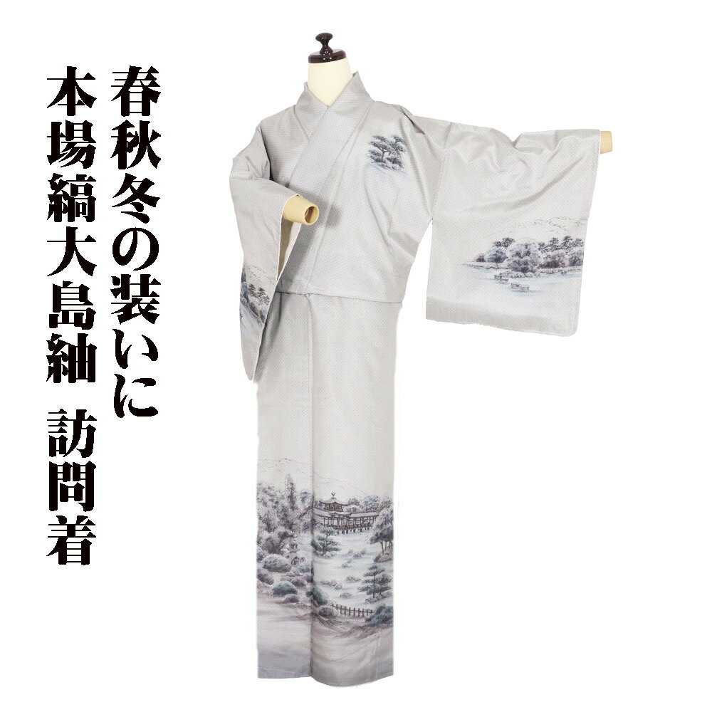 ＼ 20％offクーポン ／ 縞大島紬 訪問着 袷 正絹 薄グレー 手描き 平安神宮 13号 Mサイズ ki31117 未使用品 レディース シルク ギフト 30代 40代 50代 送料無料