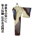 \ 20%offクーポン / 本場縞大島紬 辻が花訪問着 袷 正絹 薄緑 赤茶 緑 赤紫 紺 絞り 辻が花 Mサイズ ki30328 美品 レディース シルク ...