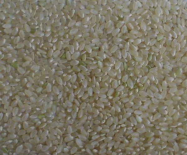 令和3年産 新潟コシヒカリ玄米4kg/玄米のまま【特別栽培米/減農薬・減化学肥料栽培】