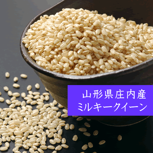 【4年産米】【送料無料】ミルキークイーン 山形県庄内産 特別栽培米 玄米24kg