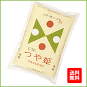 令和5年産【送料無料】山形県庄内