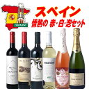 厳選おすすめ スペインワイン 情熱の赤・白・スパークリング 6本セット 送料無料 金賞ワインも入ってます!