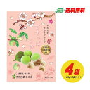 南信州菓子工房 甘すっぱうめ(ドライフルーツ)20g×6袋 メール便 代引・配達日時指定不可