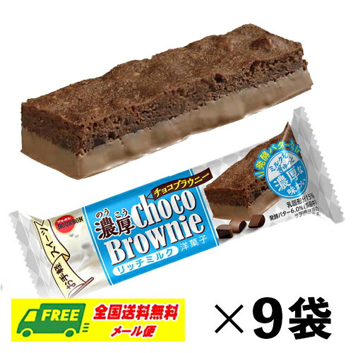 ブルボン 濃厚チョコブラウニー リッチミルク バータイプ 44g×9本 お菓子 ケーキ メール便 代引・配達日時指定不可