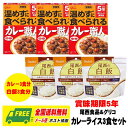長期保存・災害備蓄用 グリコ 常備用カレー職人 170g 中辛 + 尾西食品 アルファ米 白飯 セット 賞味期限5年 メール便 代引・配達日時指定不可