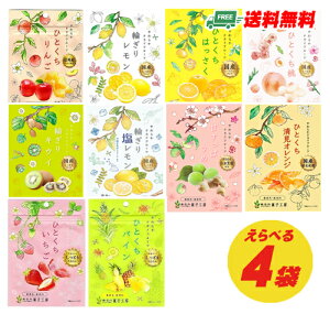 (お試しプライス)南信州菓子工房 しっとりやわらか ドライフルーツ 選べる4袋(ゆうパケット送料無料)