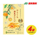 南信州菓子工房 ひとくち清見オレンジ（ドライフルーツ）24g × 4袋 メール便 代引 配達日時指定不可