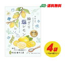 南信州菓子工房 輪ぎり塩レモン(ドライフルーツ)24g × 4袋 メール便 送料無料