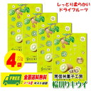 南信州菓子工房 輪ぎりキウイ（ドライフルーツ）22g × 4袋 メール便 代引・配達日時指定不可