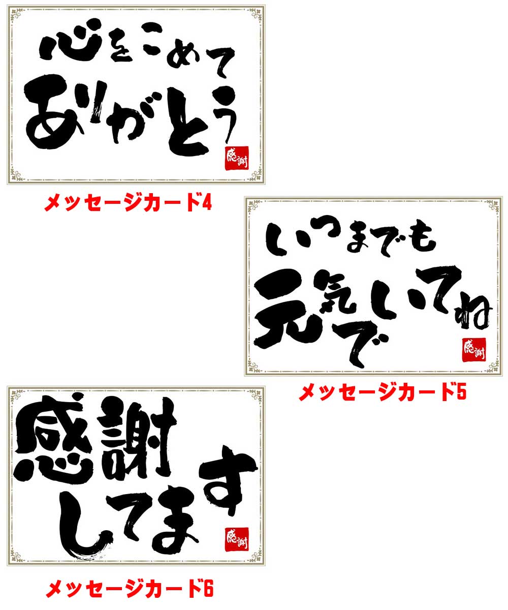 泡・赤・白　全部入ったパーティセット　安い！6本セット　地域限定送料無料