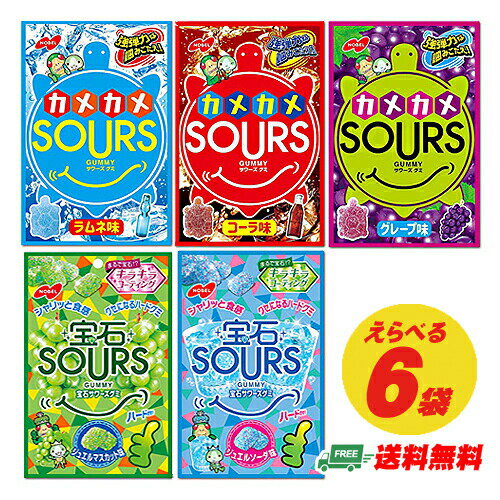 （メール便送料無料）ノーベル製菓　サワーズ　SOURS　ハードグミ　選べる6袋（代引き・日時指定不可）