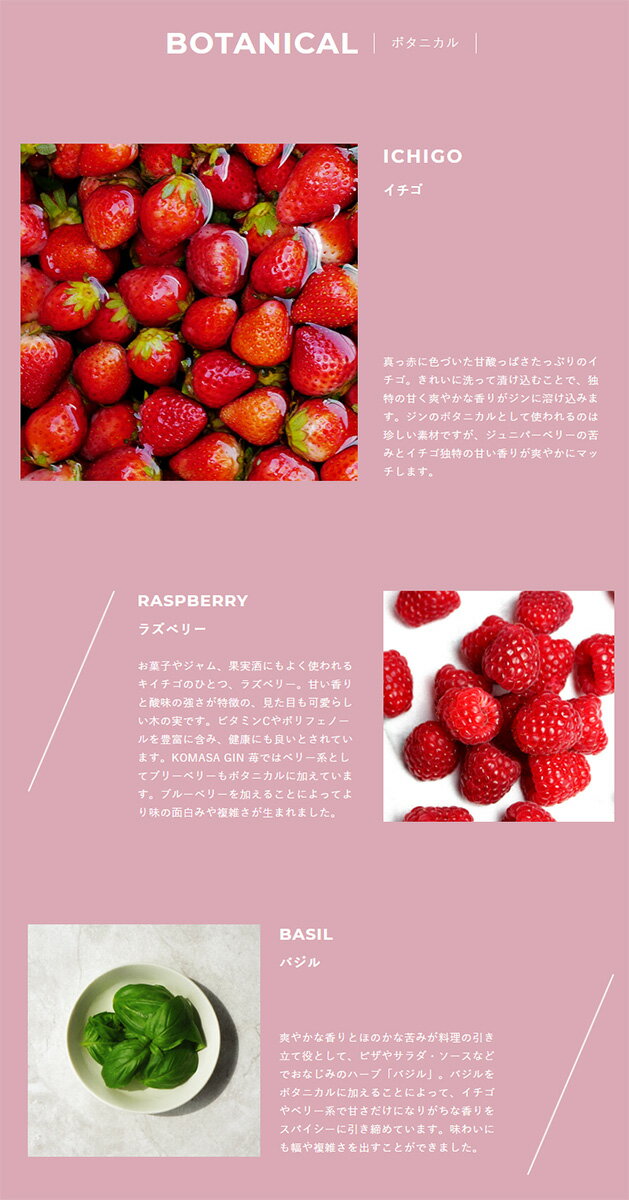 マツイジン 白兎プレミアム 700ml 松井酒造 47度　ギフト プレゼント(4954621002904)